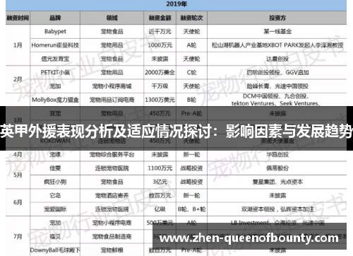 英甲外援表现分析及适应情况探讨:影响因素与发展趋势 英甲外援表现分析及适应情况探讨:影响因素与发展趋势