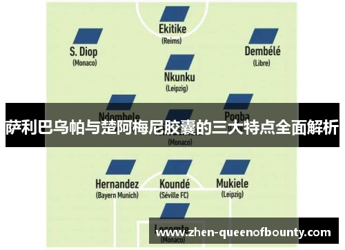 萨利巴乌帕与楚阿梅尼胶囊的三大特点全面解析 萨利巴乌帕与楚阿梅尼胶囊的三大特点全面解析